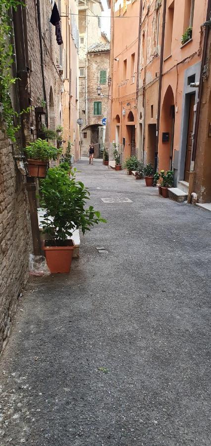 B&B Serena Perugia Exterior foto
